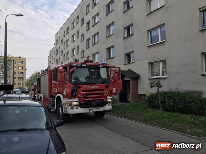 Zdjęcie w galerii na portalu naszraciborz.pl: Kolejna akcja strażaków na osiedlu przy Lotniczej. Kto podpala drzwi w piwnicy? wiadomości z regionu