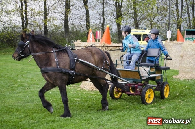 Zdjęcie w galerii na portalu naszraciborz.pl: Konny Festyn Wielkanocny w Pietrowicach Wielkich  wiadomości z regionu