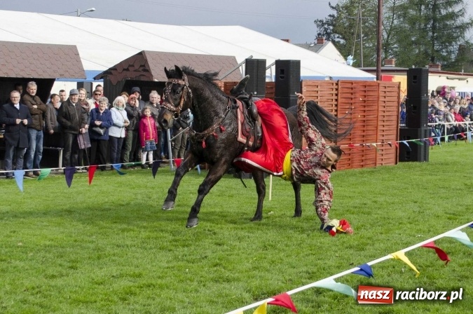 Zdjęcie w galerii na portalu naszraciborz.pl: Konny Festyn Wielkanocny w Pietrowicach Wielkich  wiadomości z regionu