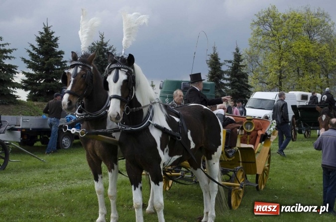 Zdjęcie w galerii na portalu naszraciborz.pl: Konny Festyn Wielkanocny w Pietrowicach Wielkich  wiadomości z regionu