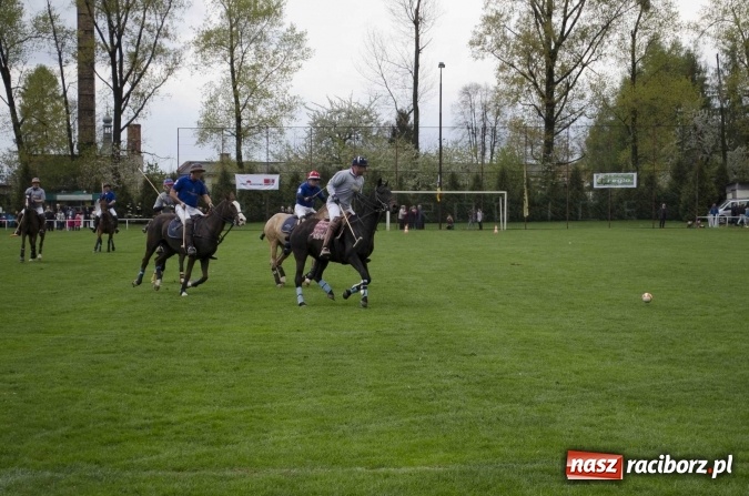 Zdjęcie w galerii na portalu naszraciborz.pl: Konny Festyn Wielkanocny w Pietrowicach Wielkich  wiadomości z regionu