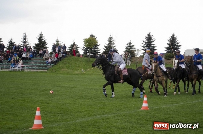 Zdjęcie w galerii na portalu naszraciborz.pl: Konny Festyn Wielkanocny w Pietrowicach Wielkich  wiadomości z regionu