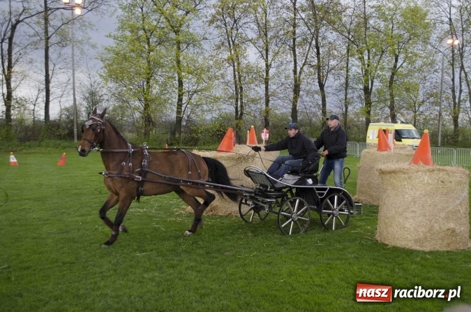 Zdjęcie w galerii na portalu naszraciborz.pl: Konny Festyn Wielkanocny w Pietrowicach Wielkich  wiadomości z regionu