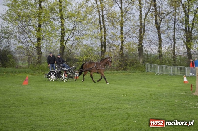 Zdjęcie w galerii na portalu naszraciborz.pl: Konny Festyn Wielkanocny w Pietrowicach Wielkich  wiadomości z regionu
