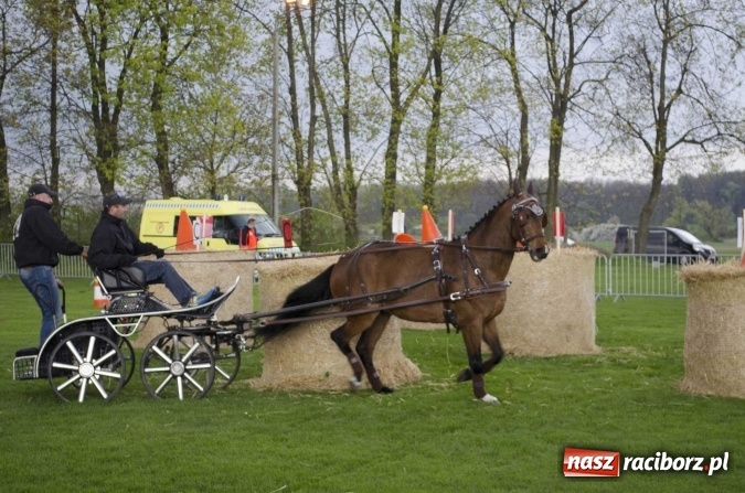 Zdjęcie w galerii na portalu naszraciborz.pl: Konny Festyn Wielkanocny w Pietrowicach Wielkich  wiadomości z regionu