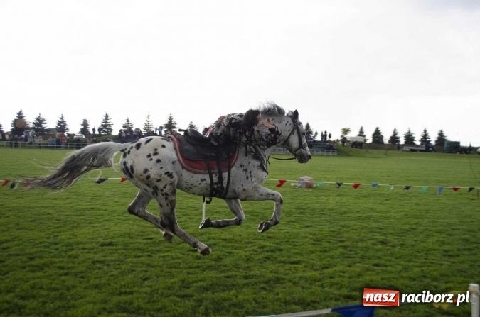 Zdjęcie w galerii na portalu naszraciborz.pl: Konny Festyn Wielkanocny w Pietrowicach Wielkich  wiadomości z regionu