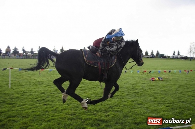 Zdjęcie w galerii na portalu naszraciborz.pl: Konny Festyn Wielkanocny w Pietrowicach Wielkich  wiadomości z regionu