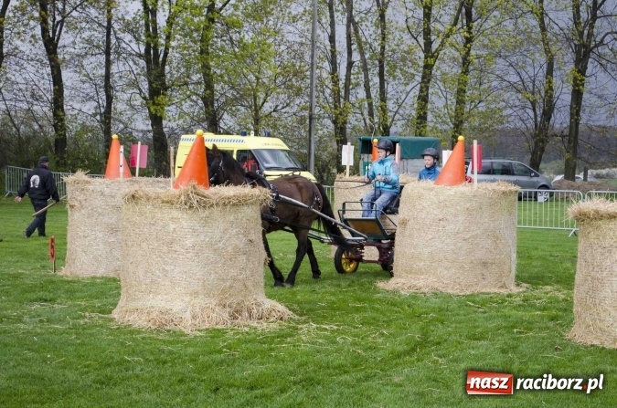 Zdjęcie w galerii na portalu naszraciborz.pl: Konny Festyn Wielkanocny w Pietrowicach Wielkich  wiadomości z regionu
