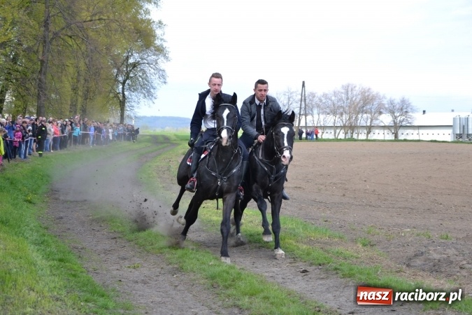 Zdjęcie w galerii na portalu naszraciborz.pl: Galopem, czyli finał bieńkowickiej procesji konnej  wiadomości z regionu