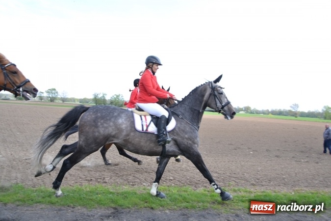 Zdjęcie w galerii na portalu naszraciborz.pl: Galopem, czyli finał bieńkowickiej procesji konnej  wiadomości z regionu