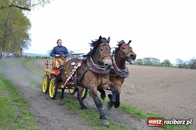 Zdjęcie w galerii na portalu naszraciborz.pl: Galopem, czyli finał bieńkowickiej procesji konnej  wiadomości z regionu