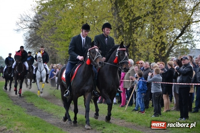Zdjęcie w galerii na portalu naszraciborz.pl: Galopem, czyli finał bieńkowickiej procesji konnej  wiadomości z regionu