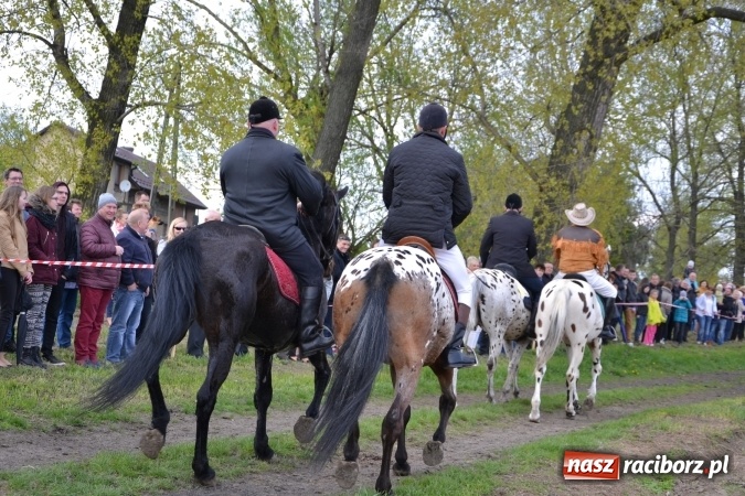 Zdjęcie w galerii na portalu naszraciborz.pl: Galopem, czyli finał bieńkowickiej procesji konnej  wiadomości z regionu