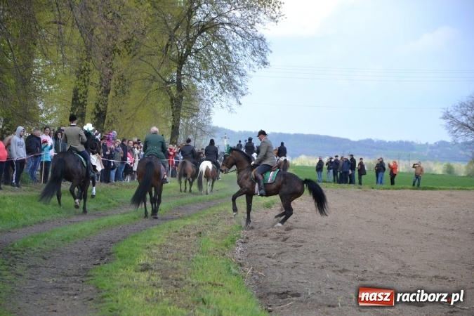Zdjęcie w galerii na portalu naszraciborz.pl: Galopem, czyli finał bieńkowickiej procesji konnej  wiadomości z regionu