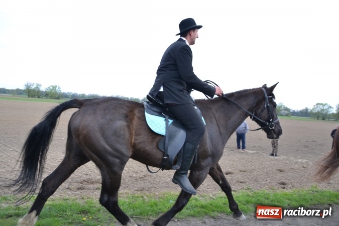 Zdjęcie w galerii na portalu naszraciborz.pl: Galopem, czyli finał bieńkowickiej procesji konnej  wiadomości z regionu