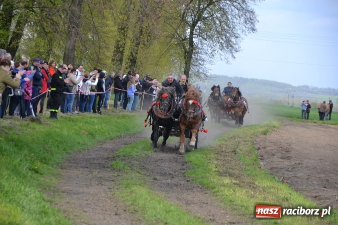 Zdjęcie w galerii na portalu naszraciborz.pl: Galopem, czyli finał bieńkowickiej procesji konnej  wiadomości z regionu