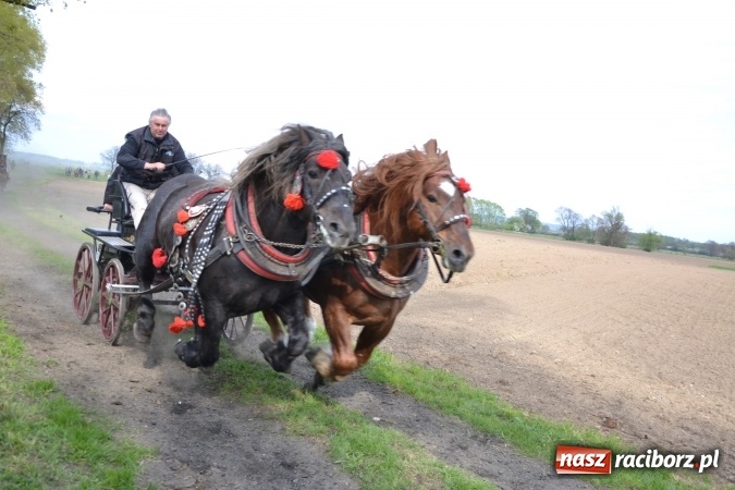 Zdjęcie w galerii na portalu naszraciborz.pl: Galopem, czyli finał bieńkowickiej procesji konnej  wiadomości z regionu