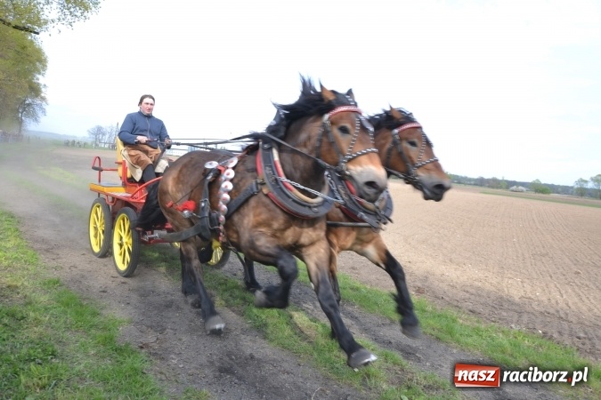 Zdjęcie w galerii na portalu naszraciborz.pl: Galopem, czyli finał bieńkowickiej procesji konnej  wiadomości z regionu