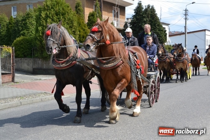 Zdjęcie w galerii na portalu naszraciborz.pl: Galopem, czyli finał bieńkowickiej procesji konnej  wiadomości z regionu