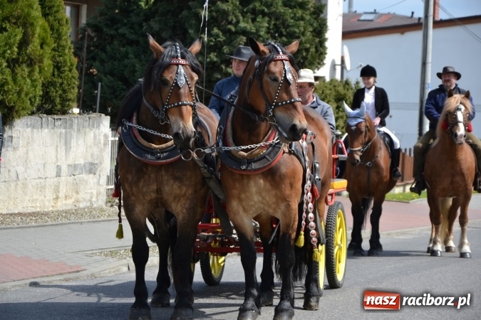 Zdjęcie w galerii na portalu naszraciborz.pl: Galopem, czyli finał bieńkowickiej procesji konnej  wiadomości z regionu