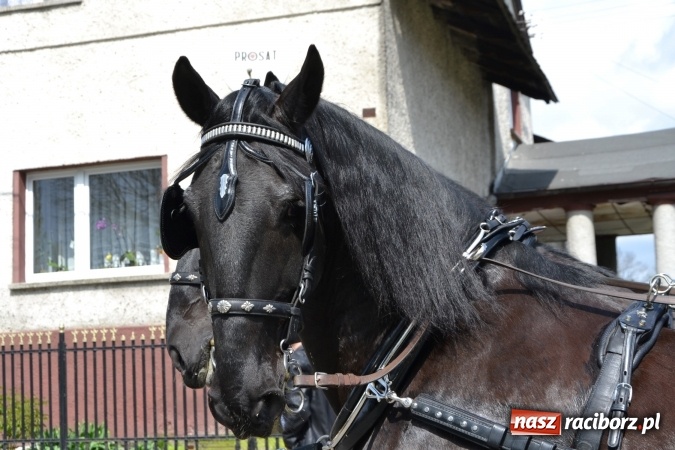 Zdjęcie w galerii na portalu naszraciborz.pl: Galopem, czyli finał bieńkowickiej procesji konnej  wiadomości z regionu