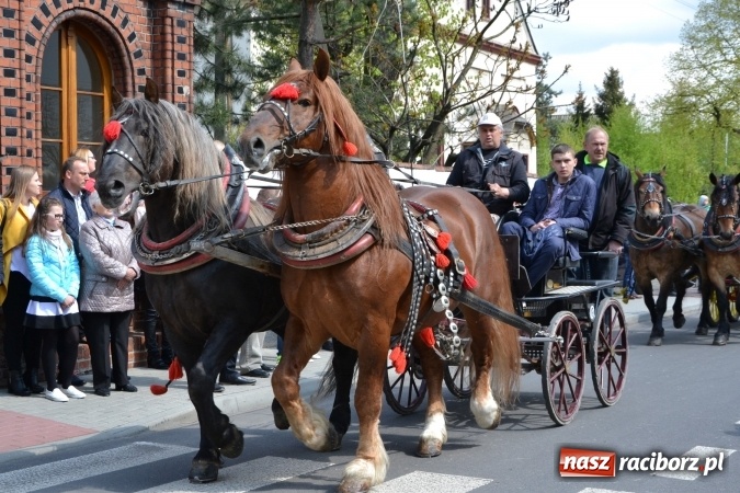 Zdjęcie w galerii na portalu naszraciborz.pl: Galopem, czyli finał bieńkowickiej procesji konnej  wiadomości z regionu