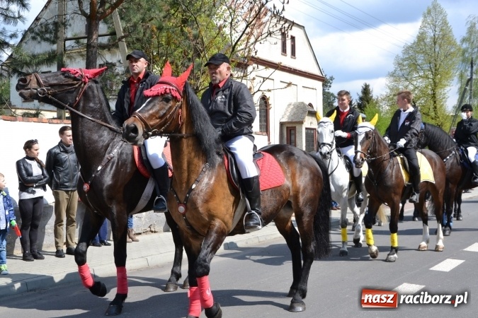 Zdjęcie w galerii na portalu naszraciborz.pl: Galopem, czyli finał bieńkowickiej procesji konnej  wiadomości z regionu