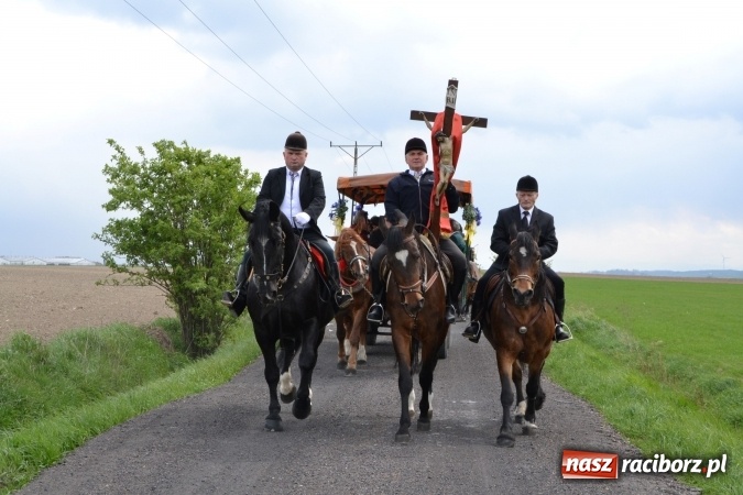 Zdjęcie w galerii na portalu naszraciborz.pl: Galopem, czyli finał bieńkowickiej procesji konnej  wiadomości z regionu