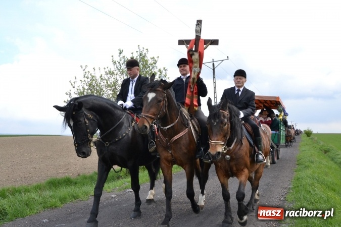 Zdjęcie w galerii na portalu naszraciborz.pl: Galopem, czyli finał bieńkowickiej procesji konnej  wiadomości z regionu