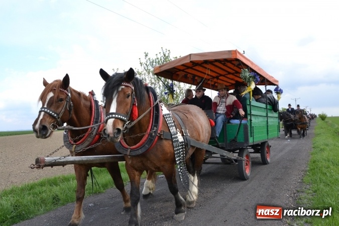 Zdjęcie w galerii na portalu naszraciborz.pl: Galopem, czyli finał bieńkowickiej procesji konnej  wiadomości z regionu