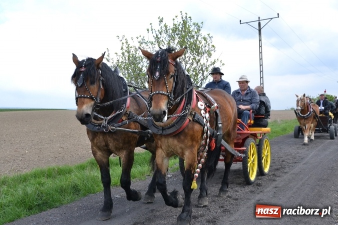 Zdjęcie w galerii na portalu naszraciborz.pl: Galopem, czyli finał bieńkowickiej procesji konnej  wiadomości z regionu