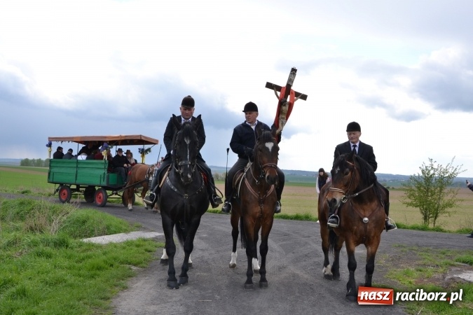 Zdjęcie w galerii na portalu naszraciborz.pl: Galopem, czyli finał bieńkowickiej procesji konnej  wiadomości z regionu
