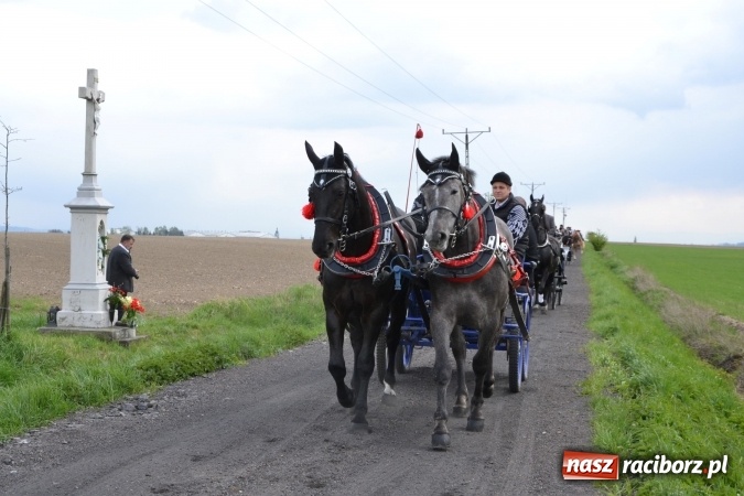 Zdjęcie w galerii na portalu naszraciborz.pl: Galopem, czyli finał bieńkowickiej procesji konnej  wiadomości z regionu
