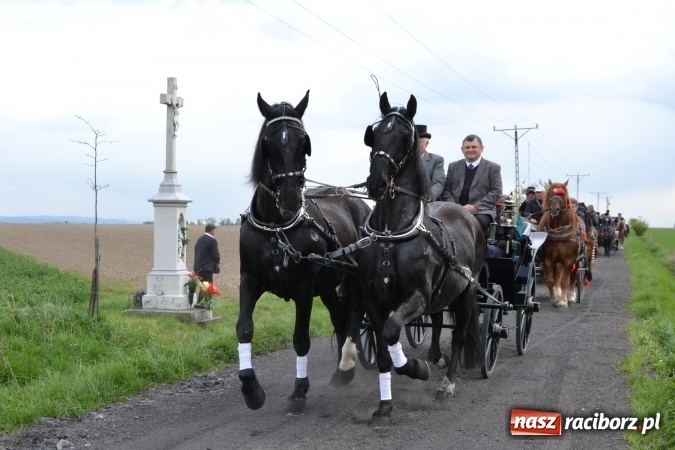 Zdjęcie w galerii na portalu naszraciborz.pl: Galopem, czyli finał bieńkowickiej procesji konnej  wiadomości z regionu