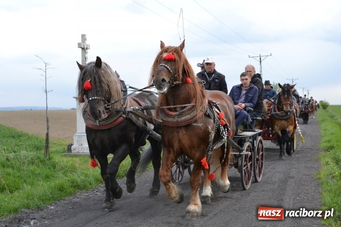 Zdjęcie w galerii na portalu naszraciborz.pl: Galopem, czyli finał bieńkowickiej procesji konnej  wiadomości z regionu