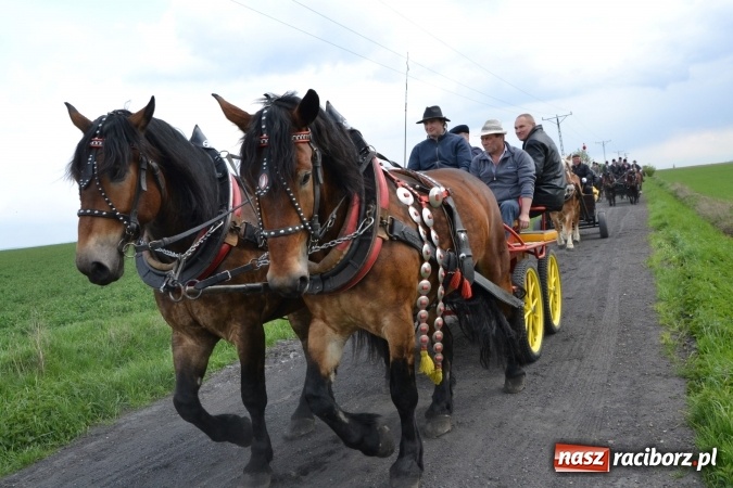Zdjęcie w galerii na portalu naszraciborz.pl: Galopem, czyli finał bieńkowickiej procesji konnej  wiadomości z regionu