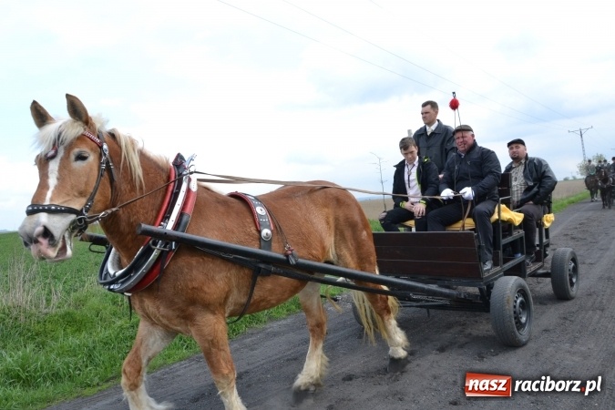 Zdjęcie w galerii na portalu naszraciborz.pl: Galopem, czyli finał bieńkowickiej procesji konnej  wiadomości z regionu