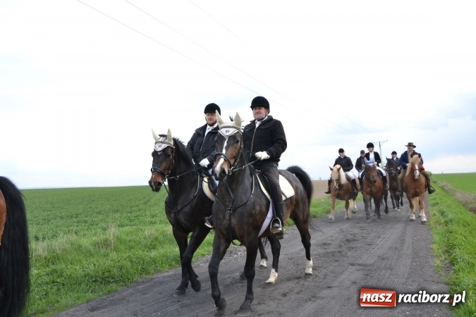 Zdjęcie w galerii na portalu naszraciborz.pl: Galopem, czyli finał bieńkowickiej procesji konnej  wiadomości z regionu