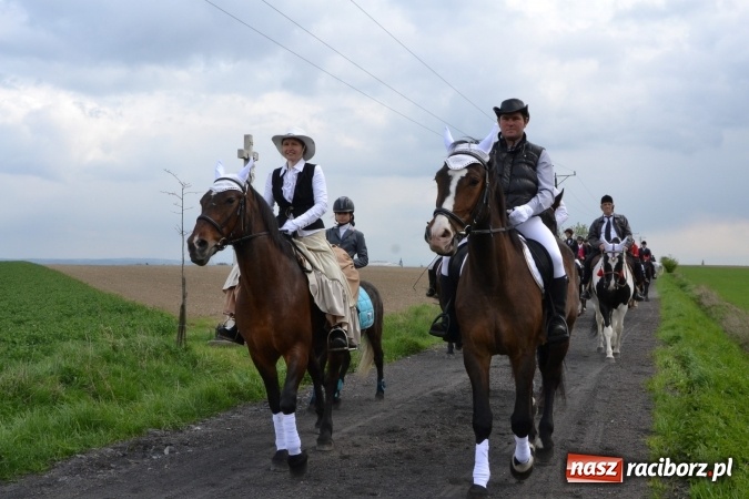 Zdjęcie w galerii na portalu naszraciborz.pl: Galopem, czyli finał bieńkowickiej procesji konnej  wiadomości z regionu