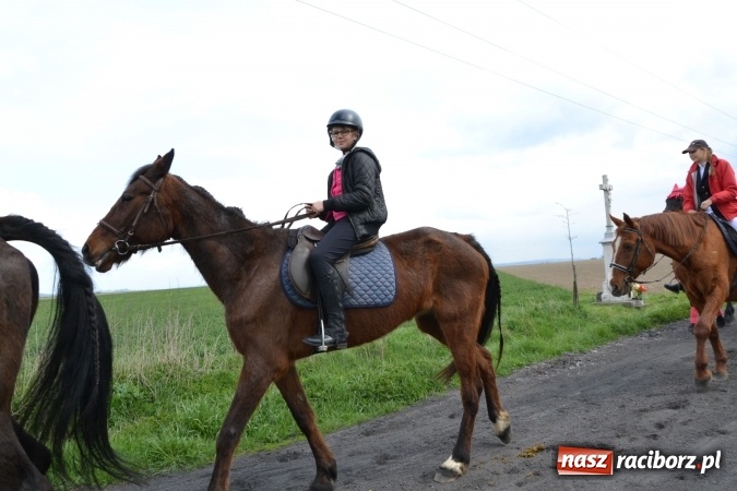 Zdjęcie w galerii na portalu naszraciborz.pl: Galopem, czyli finał bieńkowickiej procesji konnej  wiadomości z regionu