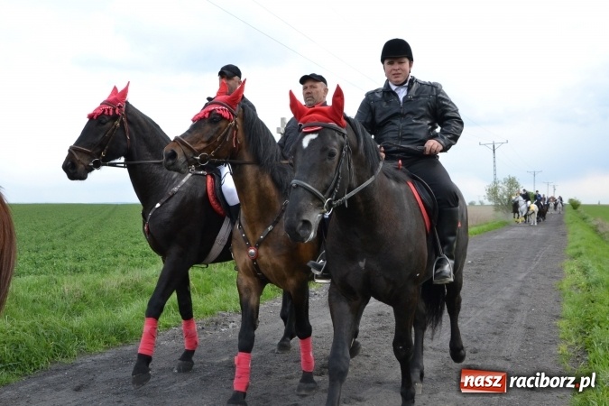 Zdjęcie w galerii na portalu naszraciborz.pl: Galopem, czyli finał bieńkowickiej procesji konnej  wiadomości z regionu