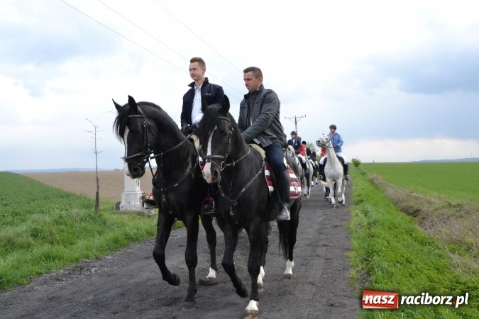 Zdjęcie w galerii na portalu naszraciborz.pl: Galopem, czyli finał bieńkowickiej procesji konnej  wiadomości z regionu