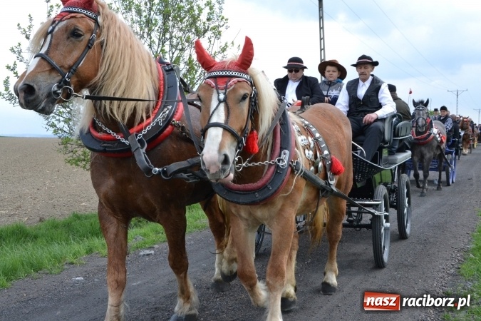 Zdjęcie w galerii na portalu naszraciborz.pl: Galopem, czyli finał bieńkowickiej procesji konnej  wiadomości z regionu