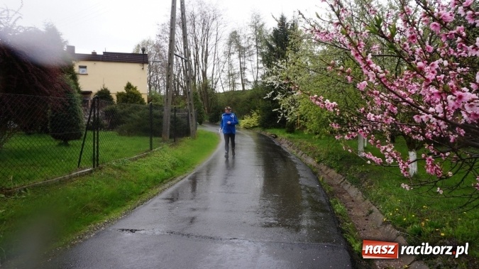 Zdjęcie w galerii na portalu naszraciborz.pl: Krzyżanowicki Orienteering Południowy zakończony sukcesem wiadomości z regionu