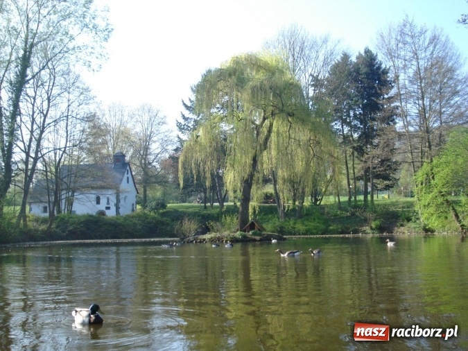Zdjęcie w galerii na portalu naszraciborz.pl: Raciborzanie na seminarium w Königswinter wiadomości z regionu
