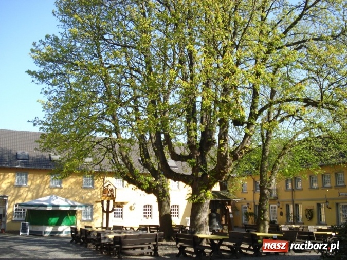 Zdjęcie w galerii na portalu naszraciborz.pl: Raciborzanie na seminarium w Königswinter wiadomości z regionu