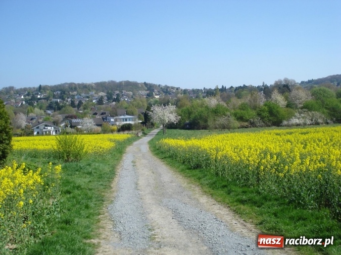 Zdjęcie w galerii na portalu naszraciborz.pl: Raciborzanie na seminarium w Königswinter wiadomości z regionu