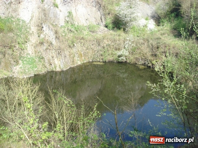 Zdjęcie w galerii na portalu naszraciborz.pl: Raciborzanie na seminarium w Königswinter wiadomości z regionu