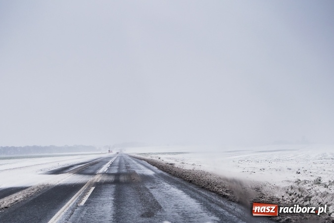 Zdjęcie w galerii na portalu naszraciborz.pl: Wiosna radosna w Raciborzu FOTOREPORTAŻ wiadomości z regionu