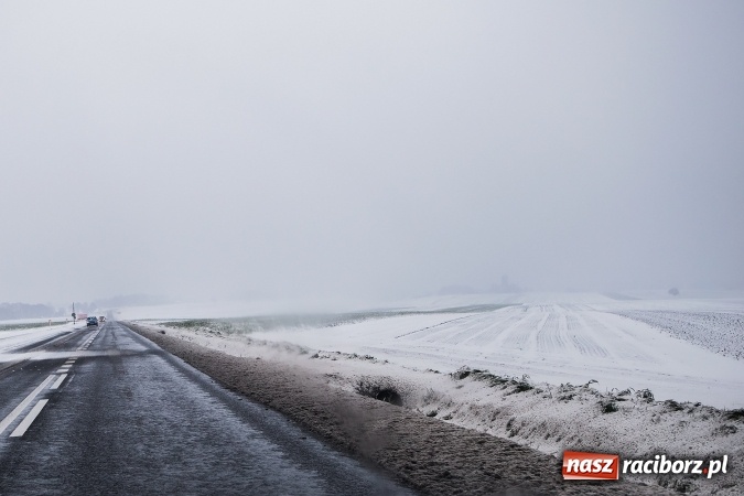 Zdjęcie w galerii na portalu naszraciborz.pl: Wiosna radosna w Raciborzu FOTOREPORTAŻ wiadomości z regionu